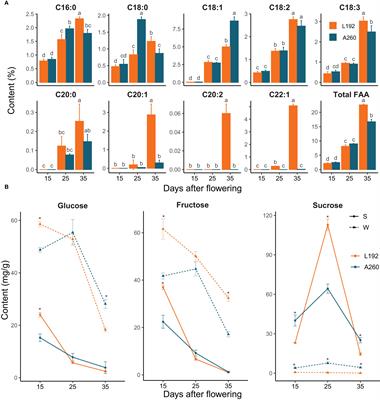 Transcriptomic comparison of seeds and silique walls from two rapeseed genotypes with contrasting seed oil content